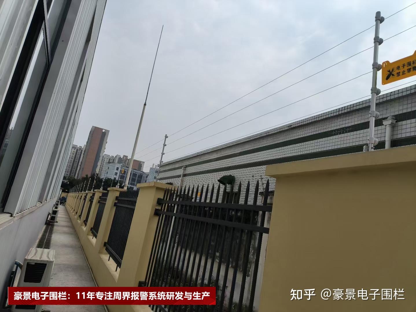 飞盘专题:深入解析上海飞盘队的战术与技术创新之路